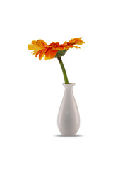 orange flower in vase on white isolated background with shadow