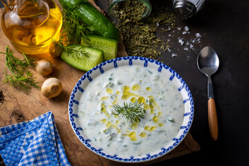 Traditional delicious appetizer; tzatziki (Turkish name; cacik)