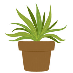 Aloe vera plant in pot. Houseplant illustration.