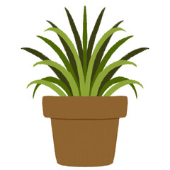 Plant in a pot. Houseplant illustration.