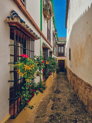 Tiny spanish alley with flowers in Ronda, Andalusia, Spain