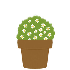Plant in a pot. Houseplant illustration.