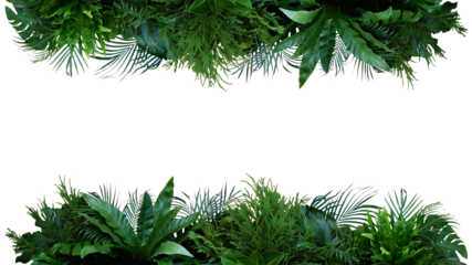 Green leaves of tropical plants bush (Monstera, palm, fern, rubber plant, pine, birds nest fern) foliage floral arrangement nature frame backdrop