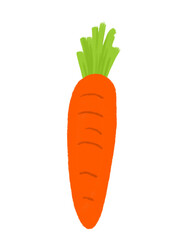 Carrot.