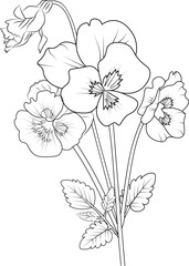 purple pansies drawing, flower cluster drawing, pansy line drawing, Pansy flower coloring  book hand drawn botanical spring elements bouquet of pansy flower line art, coloring page, vector sketch, 