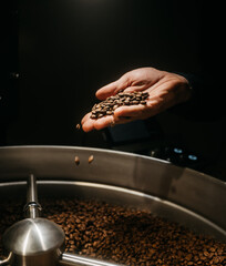 coffee beans in hands at roaster
