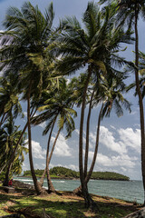 &icirc;les du Salut, '&icirc;le du Diable - Guyane