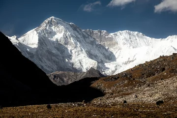 Papier Peint photo Cho Oyu Stunning view of Cho Oyu in the early afternoon from Gokyo village. After descending from Renjo-La pass, it was the 4th 8000m peak we saw in one day