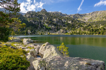 Summer landscape in La Cerdanya, Pyrenees mountain, Catalonia, Spain.