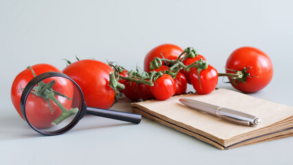 Small and large red fresh tomatoes of different varieties, next to a magnifying glass, a fountain...