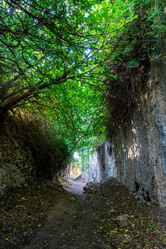 View from the Vespasianus Titus Tunnel in &Ccedil;evlik, Samandag, Hatay. Ancient water tunnel with top cover of tree branches. Selective focus.