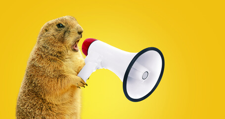 Funny gopher is holding a loudspeaker and screaming. Creative idea, management and business. The...