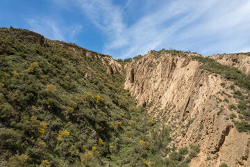 Fototapeta na wymiar slope of a mountain in the south of Granada