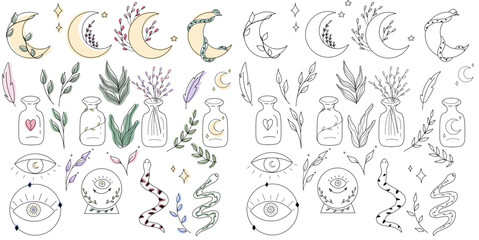 Big bundle of esoteric icons. Crescent,  vials, branches, third eye, snake. Silhouette and colorful. Vector illustration