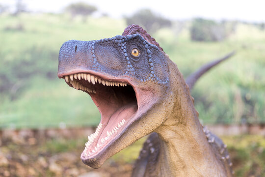 Poland, Baltow February 25, 2023 at 16:31. Dinosaur Park . The toothed lizard stares straight ahead with amber eye.  A herrerasaurus with a gaping armed mouth in a suit of sharp teeth . 