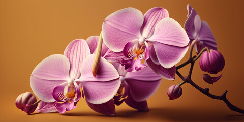 Obraz premium Beautiful close up of flower