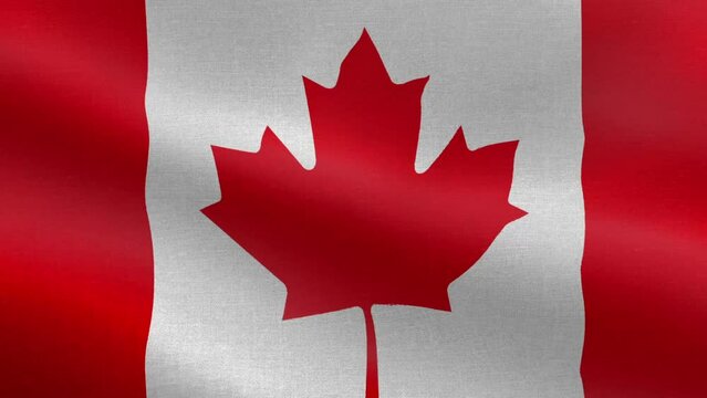 National Flag of Canada, Seamless loop Canada flag animation. A beautiful view of Canada flag video. 3d flag waving video. Canada HD resolution.