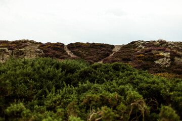 Beautiful view of the sea coast. Howth, Dublin, Ireland.