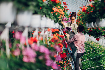 Multiracial couple of gardeners working in a greenhouse and using ladder