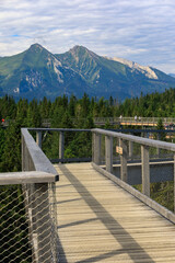 Fototapeta premium Wooden bridge over the trees in Bahledova Valley attraction in Slovakian Tatra Mountains