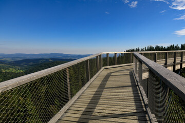 Fototapeta na wymiar Wooden bridge over the trees in Bahledova Valley attraction in Slovakian Tatra Mountains