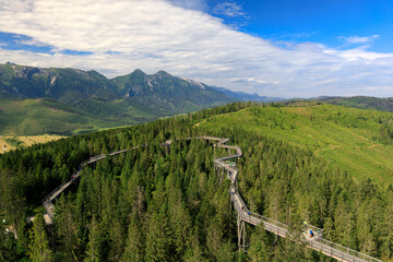 Wooden bridge over the trees in Bahledova Valley attraction in Slovakian Tatra Mountains
