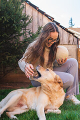 Obraz premium A young girl student is petting and feeding and playing with her pet dog labrador in backyard 