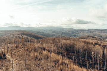 Harz Landschaft und kahle Wälder