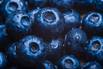 Water drops on ripe sweet blueberry. Fresh blueberries background with copy space for your text. Vegan and vegetarian concept.  Delicious Fresh Close up.