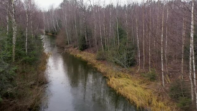 Drone footage of frozen river surrounded by forest