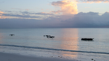 Naklejka premium Sunrise in the Indian Ocean of Zanzibar (Tanzania) with its traditional wooden fishing boats (ngalawa) and the native fishermen
