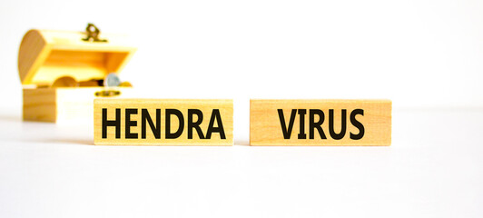 Hendra virus symbol. Concept words Hendra virus on wooden block. Beautiful white table white background. Beautiful wooden chest with coins. Medical hendra virus concept. Copy space.