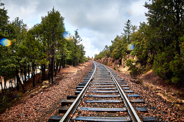 rail train tracks on rainny day with forest around in areponamichic chihuahua 