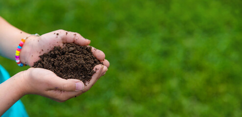 The child holds the soil in his hands. Selective focus.