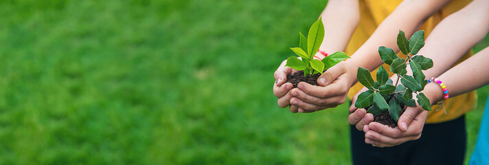 The child holds the plant and soil in his hands. Selective focus.