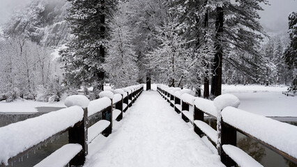 Snowy bridge and valley view landscape with trees during snowstorm in Yosemite National Park, California, USA