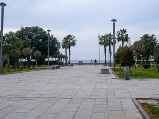 Obraz premium Park on the Black Sea embankment. Batumi streets. Pedestrian area