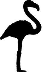 Silhouette: Flamingo von der Seite