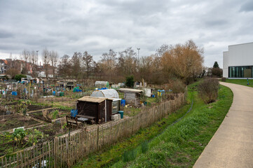 Fototapeta na wymiar Forest, Brussels Capital Region, Belgium - Allotment gardens in an urban park