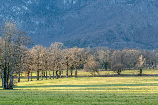 campagne du pays de Gex