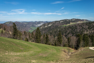 Fototapeta na wymiar Dans la région de Selzach ( Canton de Soleure ) prés du Hasenmatt