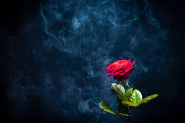 A rose in clouds of smoke