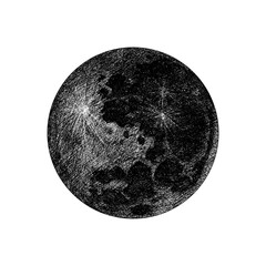 Moon. Natural satellite. Astronomical galaxy space. Engraved hand drawn in old sketch, vintage style for label.
