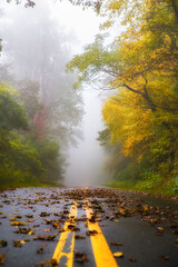 Foggy road scene in Virginia's Blue Ridge Parkway
