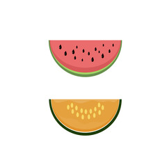 melon and watermelon, slices.fruit vector illustration