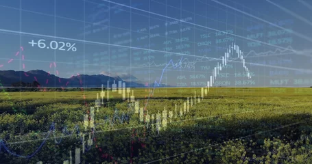 Rolgordijnen Image of financial data processing over countryside © vectorfusionart