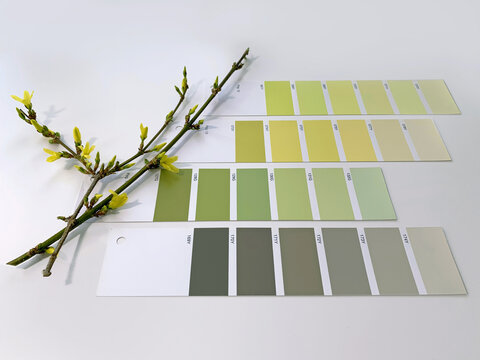 Paint samples for decorating, for interior or exterior design. Сolor choice for design. Spring green and yellow color palette. Concept: nature inspires colors