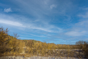 winter landscape in the countryside
