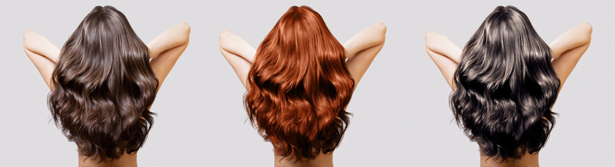 Hair of different shades of brunette, blonde and red. Woman collage back view