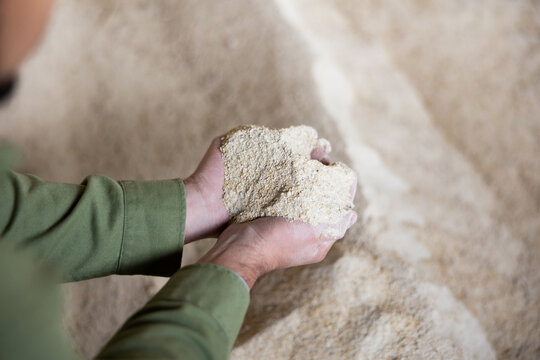 Closeup of handful of corn meal in hands of experienced farmer checking quality of livestock feed in farm storage..